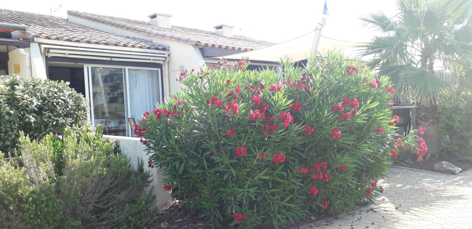 Naturiste Cap D'Agde Villa Heliovillage 58 Eksteriør billede